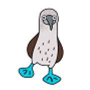 De Blauwvoet
