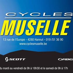 Cycles Muselle