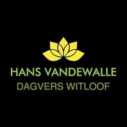 Hans Vandewalle - Dagvers Witloof
