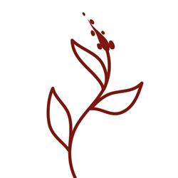 Amaranth plantbased