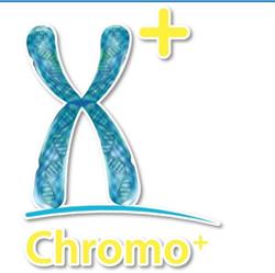Chromo +