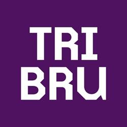 Triënnale Brugge