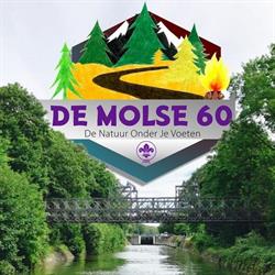 De Molse 60