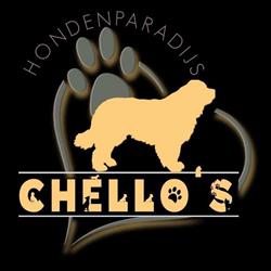 Chello's Hondenparadijs