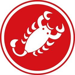 Castelli Custom