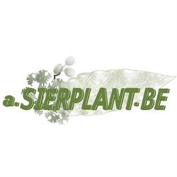 a.Sierplant.be
