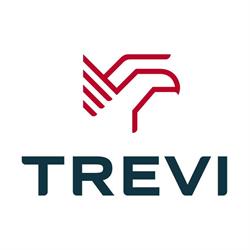 Trevi Group Real Estate
