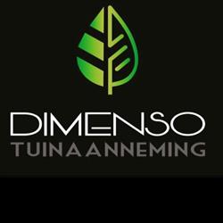 Dimenso bv