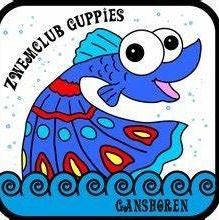 Zwemclub Guppies Ganshoren