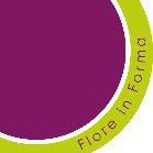 Flore in Forma