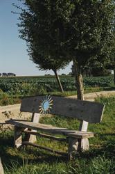 De Zunne