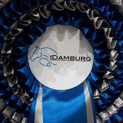 Jumping Damburg