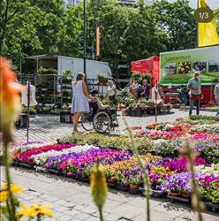 Wekelijkse Markt Hasselt