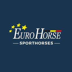 Eurohorse Axel Verlooy