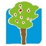 Basisschool Molenveld Denderhoutem
