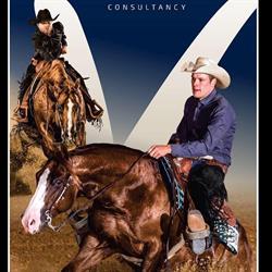 Vervecken Reining Horses