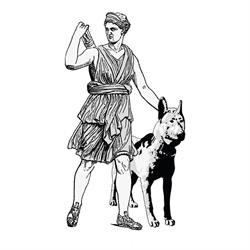 Mr. T - dog training & therapy center