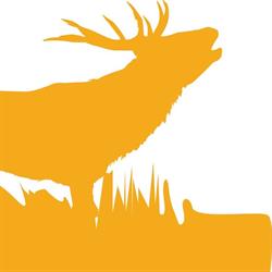 Brame Invest Luxembourg