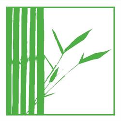Bambou Solutions