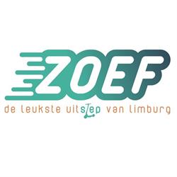 ZOEF Steps