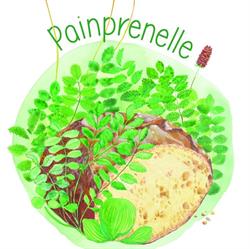Painprenelle