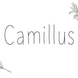 Eethuis Camillus