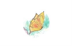L'effet Papillon ? kinésiologie
