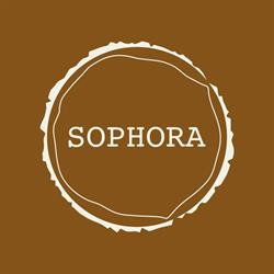 Sophora