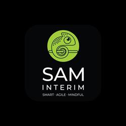 SAM Interim