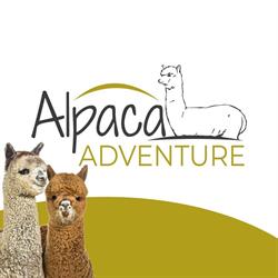 Alpaca Adventure Zonnebeke