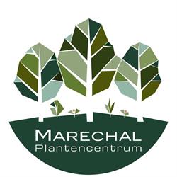 Tuincentrum Marechal