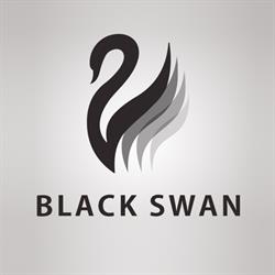 The Black Swan Hotel