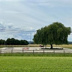 Écurie Horse Wellness