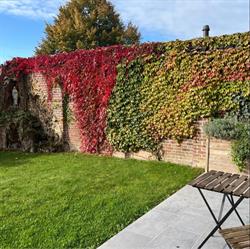 Vakantiewoning Ten Bunderen