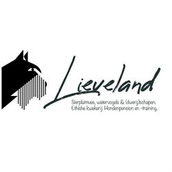 Lieveland