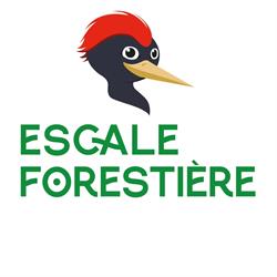 Escale forestière - Bon-Secours