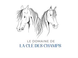 Domaine de la clé des champs