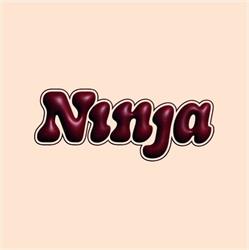 Ninja Antwerp