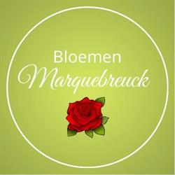 Bloemen Marquebreuck