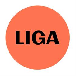Liga voor Mensenrechten vzw