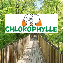 Chlorophylle