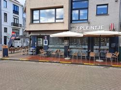 Pleintje