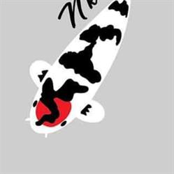 Ni-koi  (Filtration Cubi by ni-Koi)