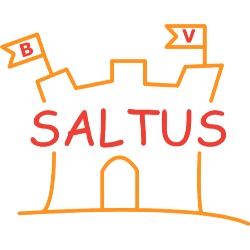 Saltus - Verhuur springkastelen & feestmateriaal