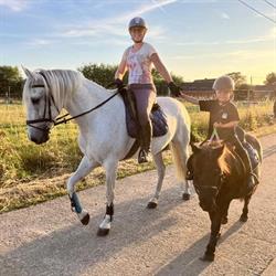Sweet Horses