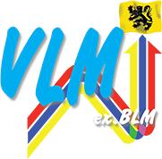 VLM CROSS