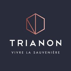 Trianon, Projet Immobilier Liège