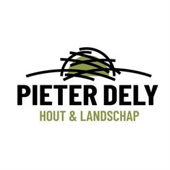 Pieter Dely