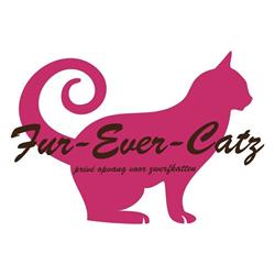 Furevercatz asiel VZW