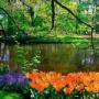 Entretien abords plan d'eau GNB Garden Scomm